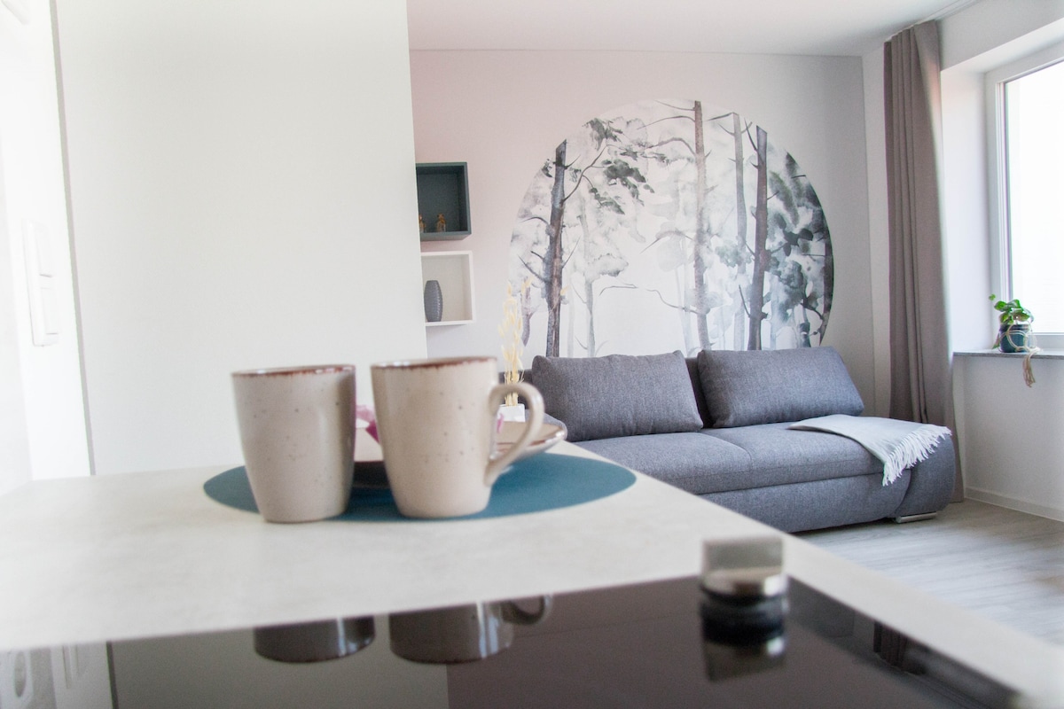 Best Luxury Apartment in Hannover (2)