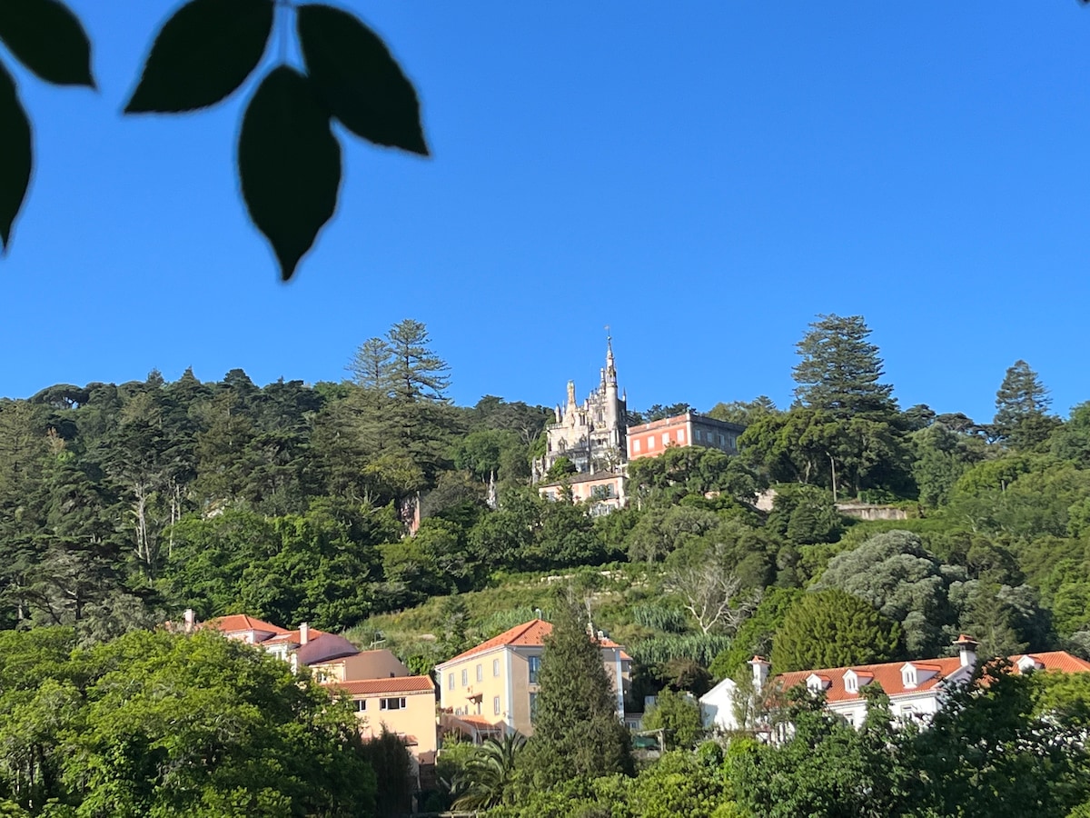 Casa da Paderna: Vista Magnífica no Paraíso