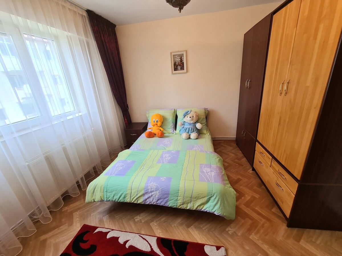 Apartament Slănic