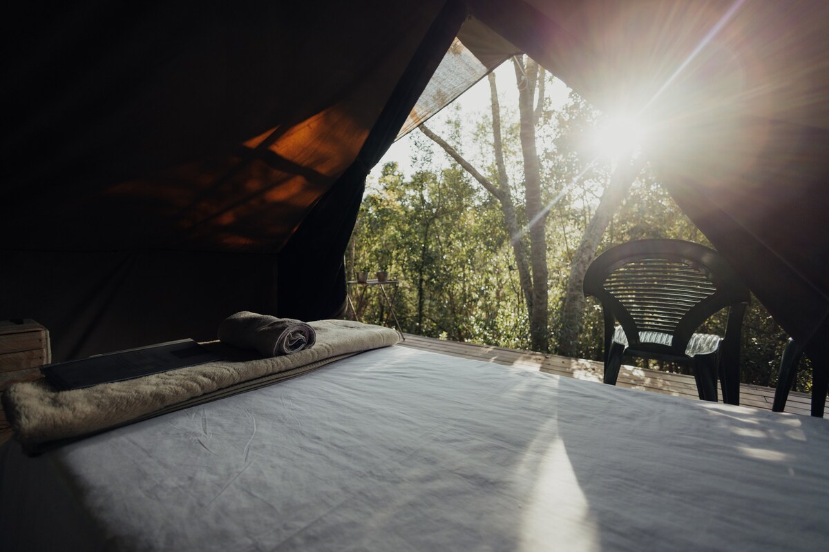 Forest Glamping