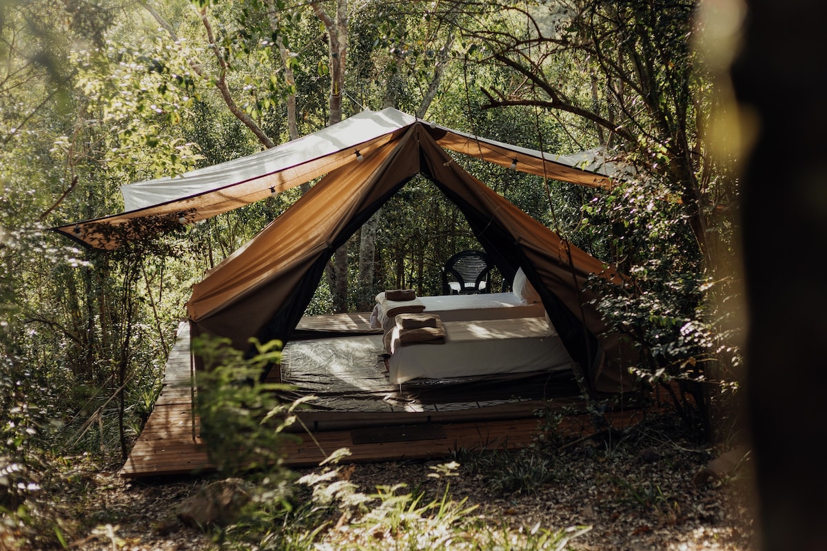 Forest Glamping