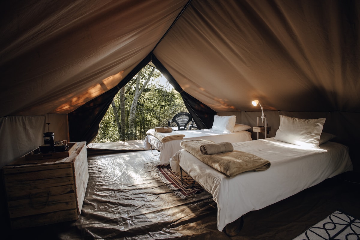 Forest Glamping