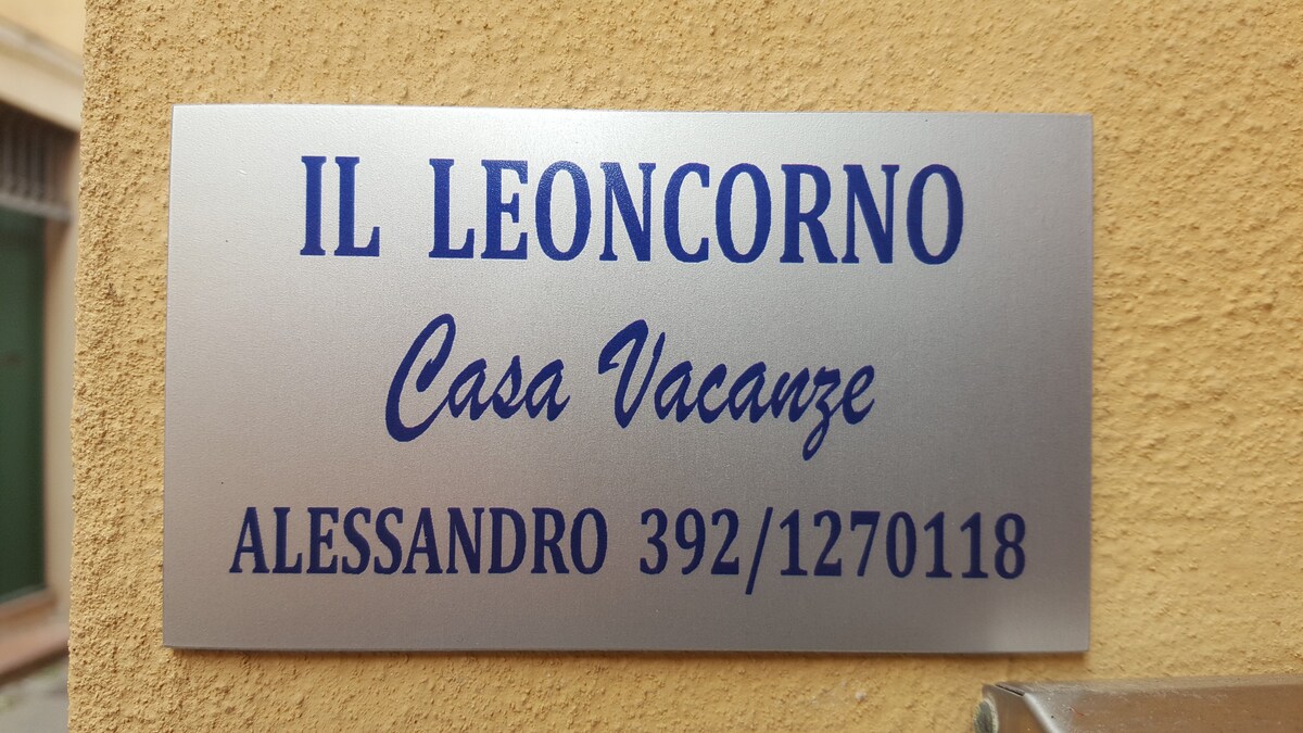 Il Leoncorno ：一层两室公寓