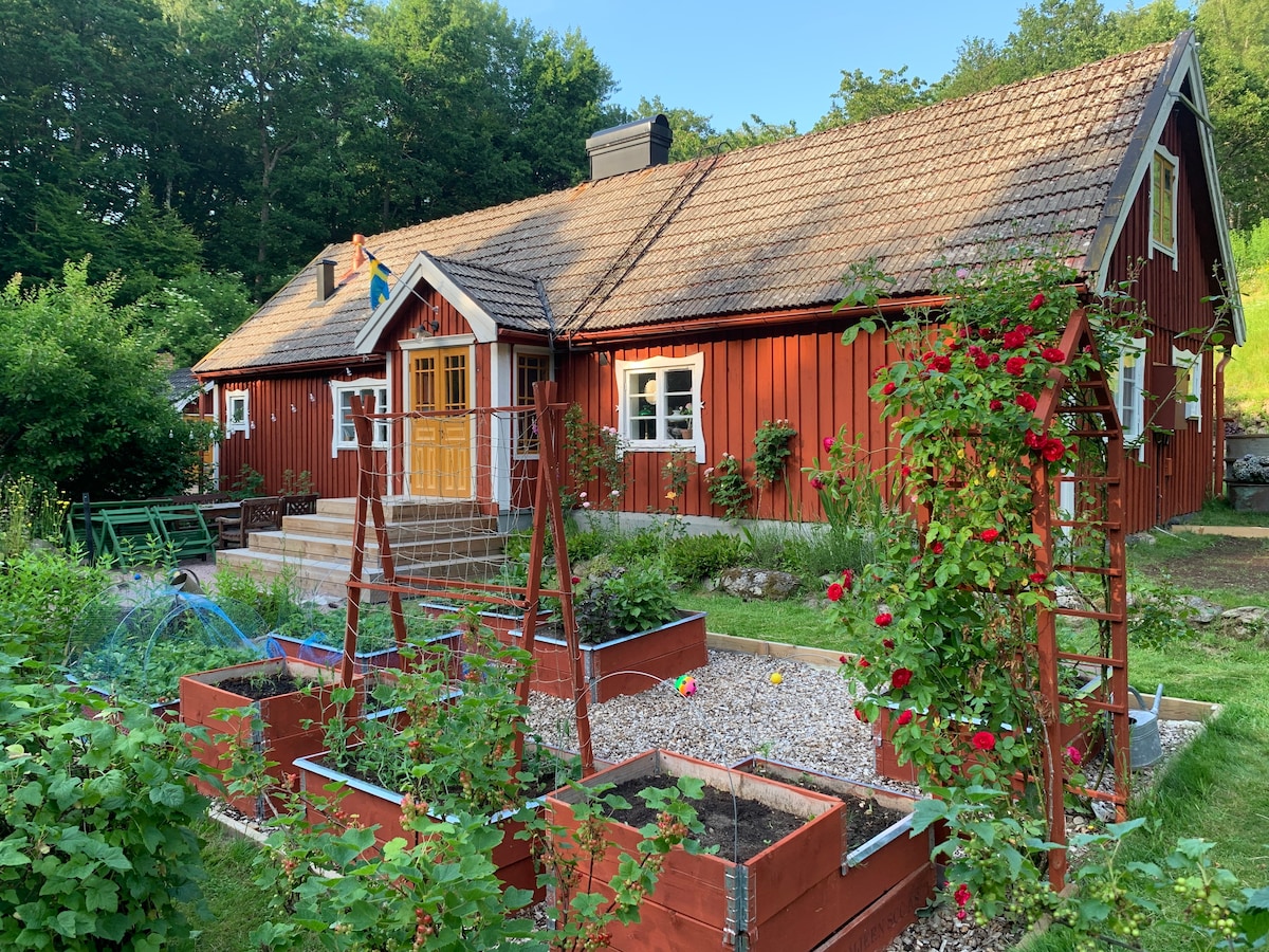 Idyllic Swedish cottage