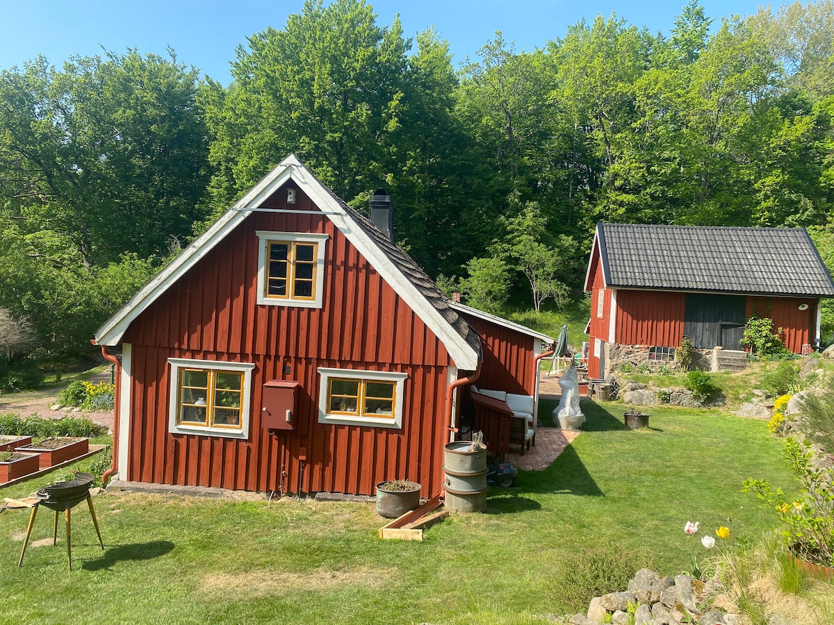 Idyllic Swedish cottage