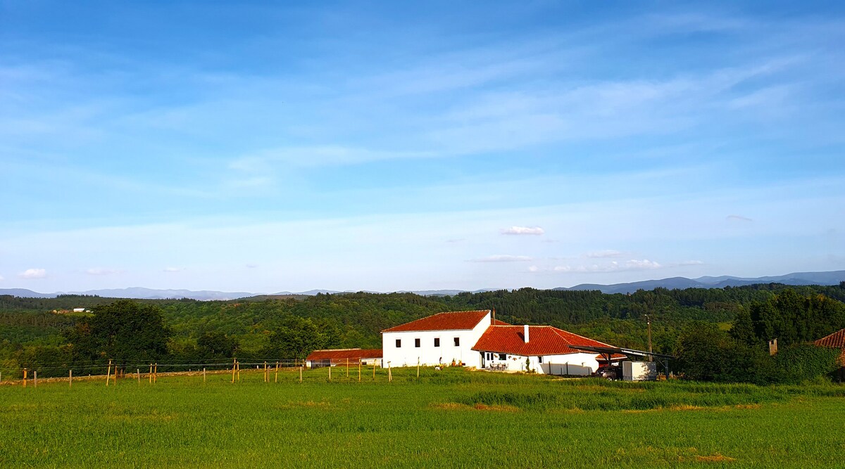 EcoCasa ：家庭和宠物/Ribeira Sacra-Galicia