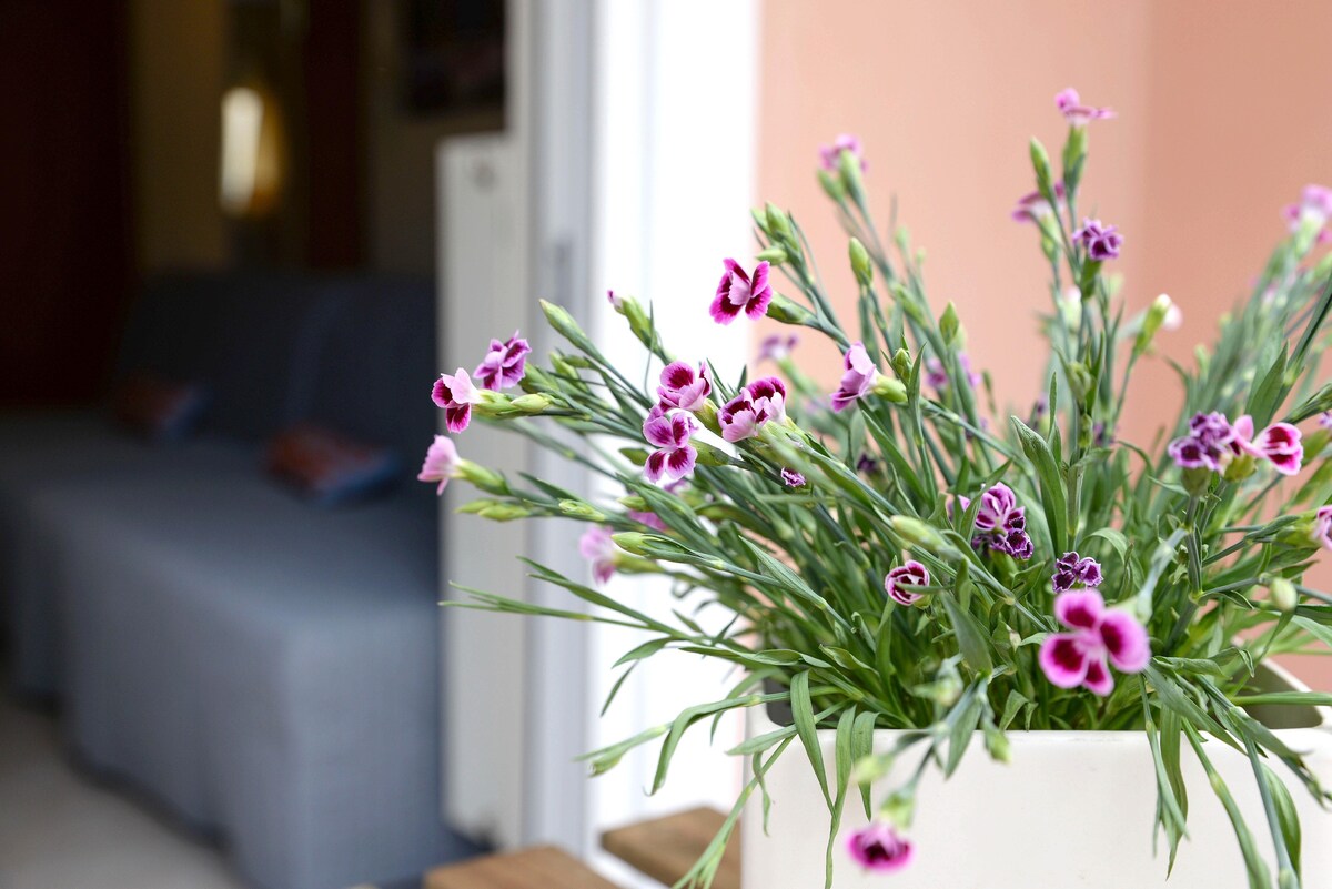 Comfy apartment - Near Acropolis