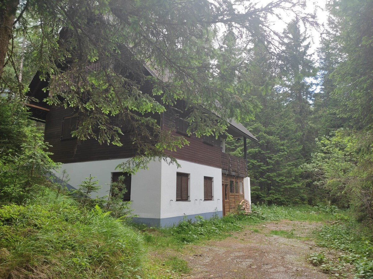Alpine Hut in the Woods -25min to Spielberg