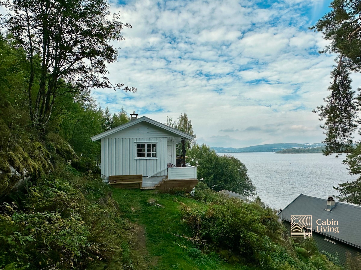 Close to nature cabin, sauna, Øyeren view