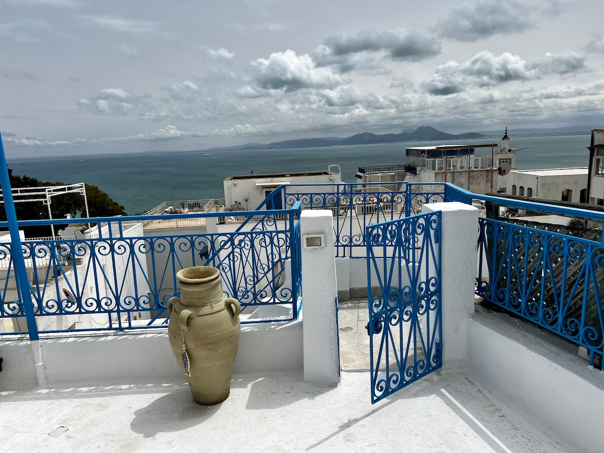 Luxury meets tradition in Sidi bou said ( rooftop)