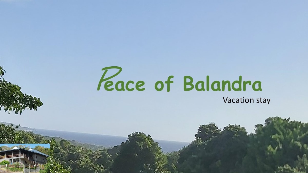 Peace of Balandra