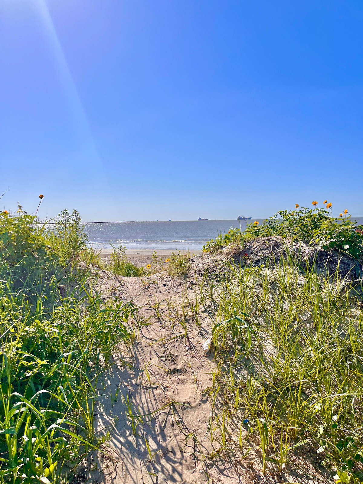 Crystal Cove Cottage- Luxury Beachfront Property