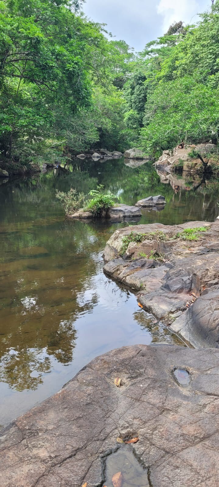 ¡Casa de Campo en la Naturaleza!