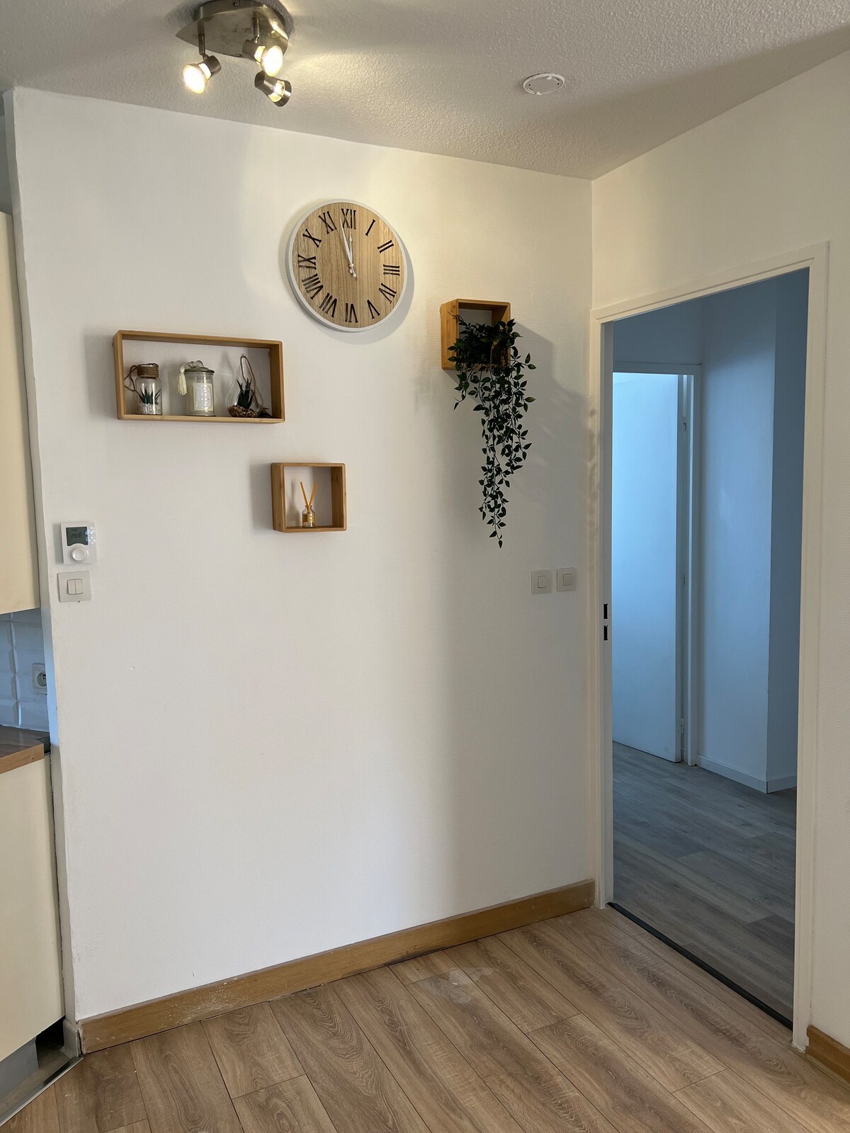 Grand appartement de 100 m²