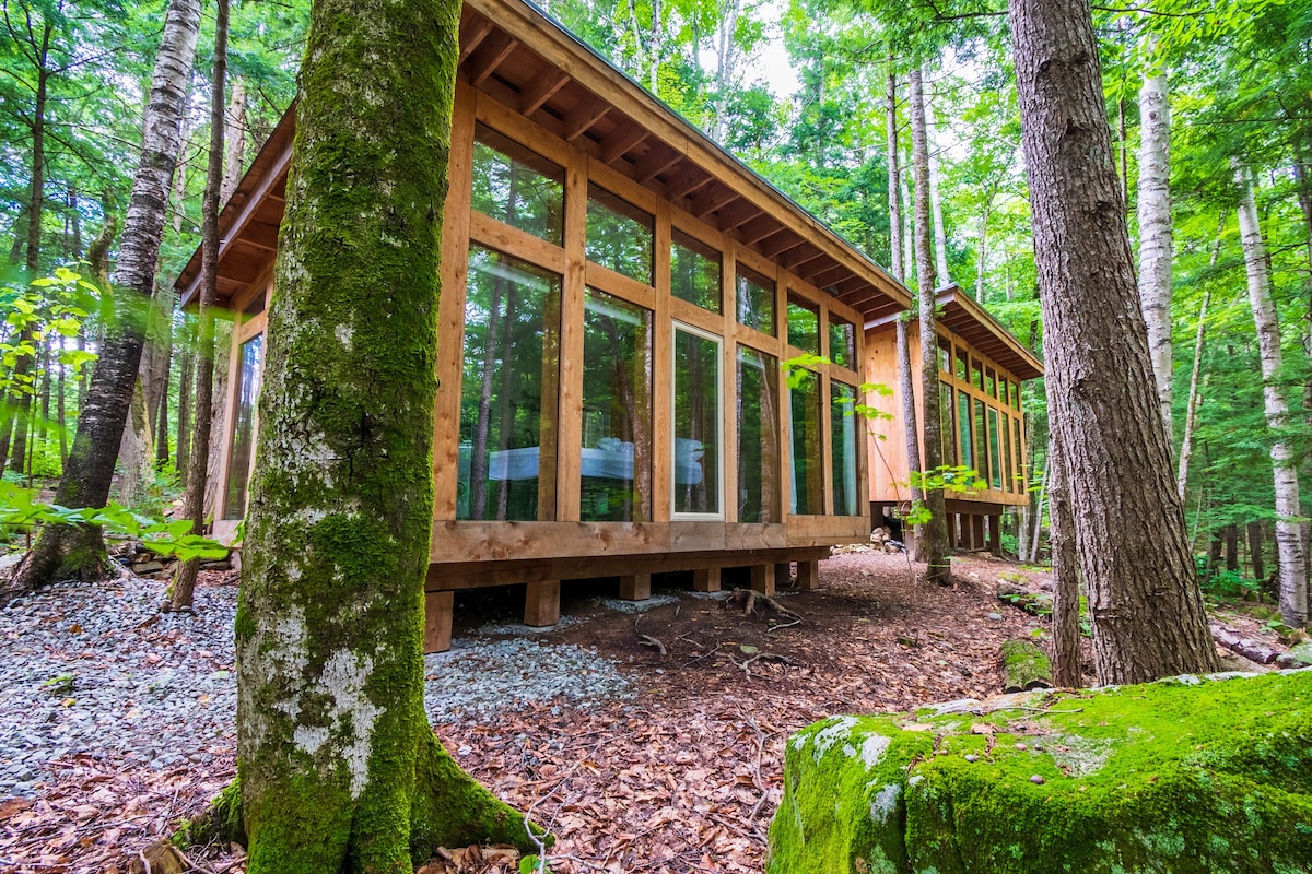 Three Cabins on Pond: Off-the-grid forest bathing