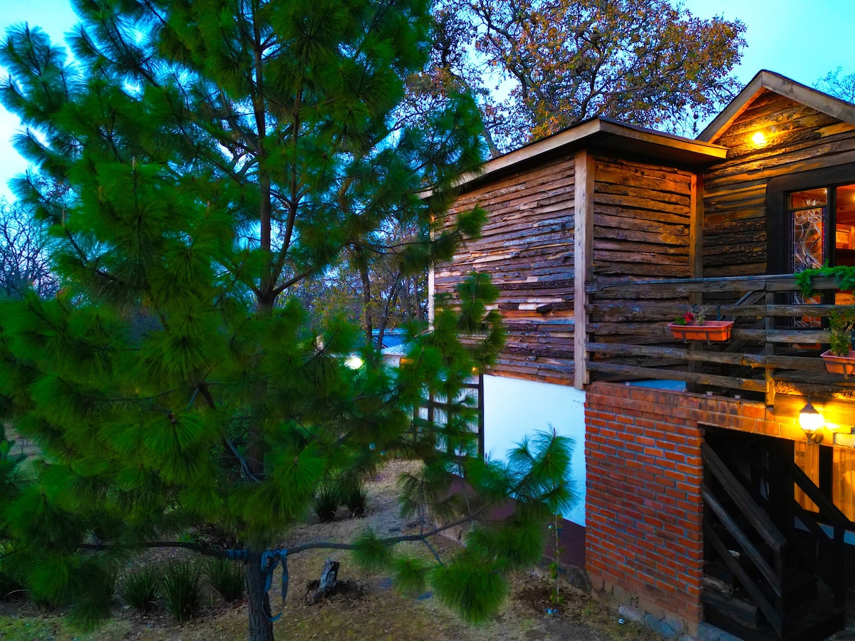 森林里可容纳20人的小木屋