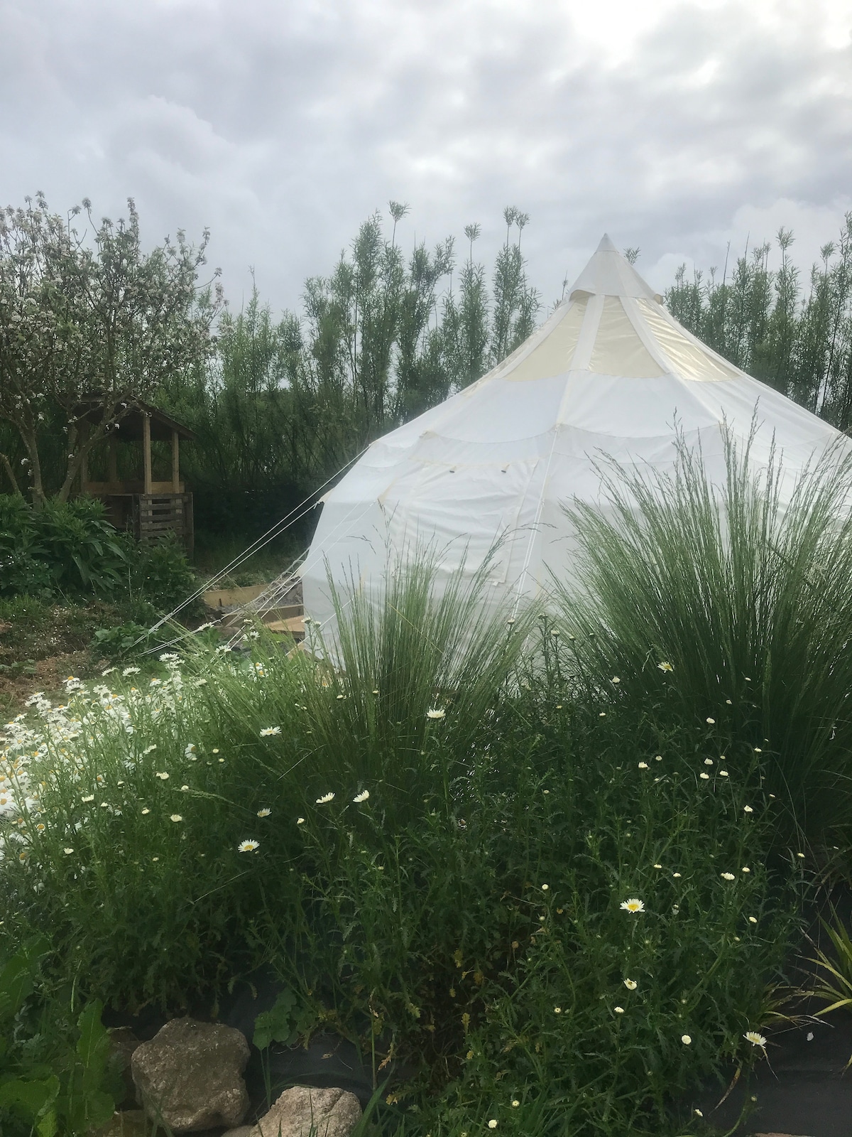 Pre-pitched furnished bell tent 1