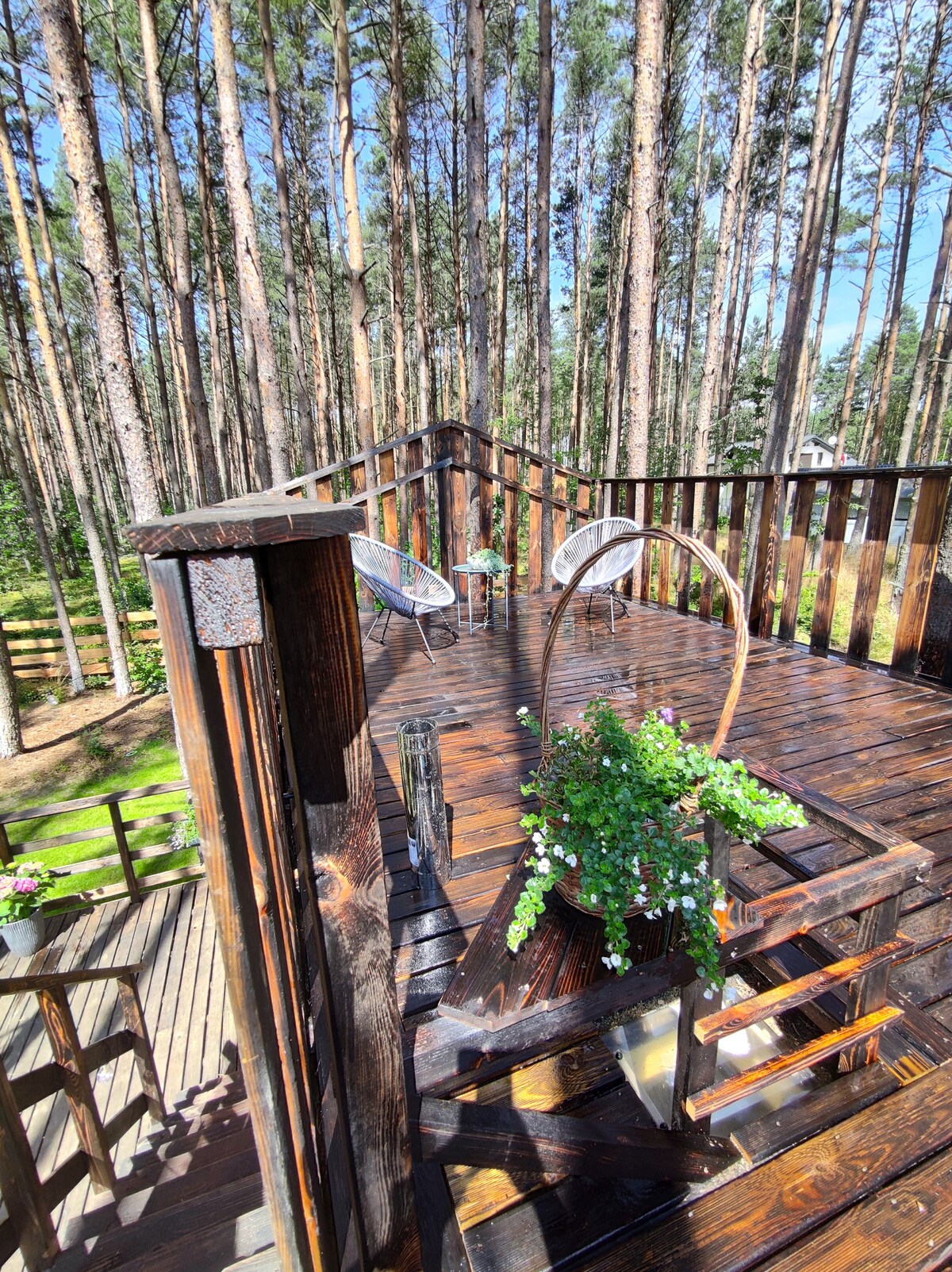 卡舒比亚湖（ Lake Kashubia ）带热水浴池的森林小屋