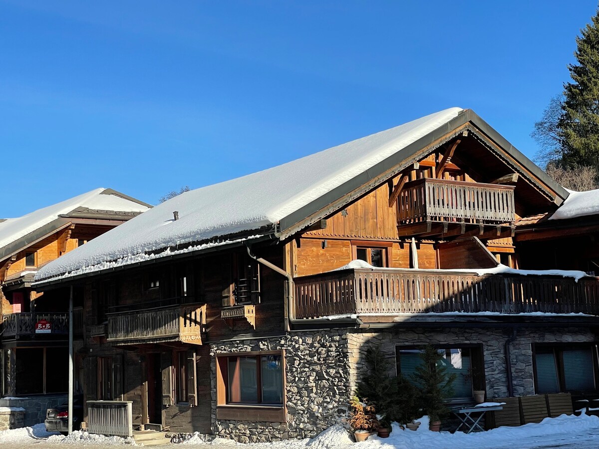 Comfortable duplex in charming chalet