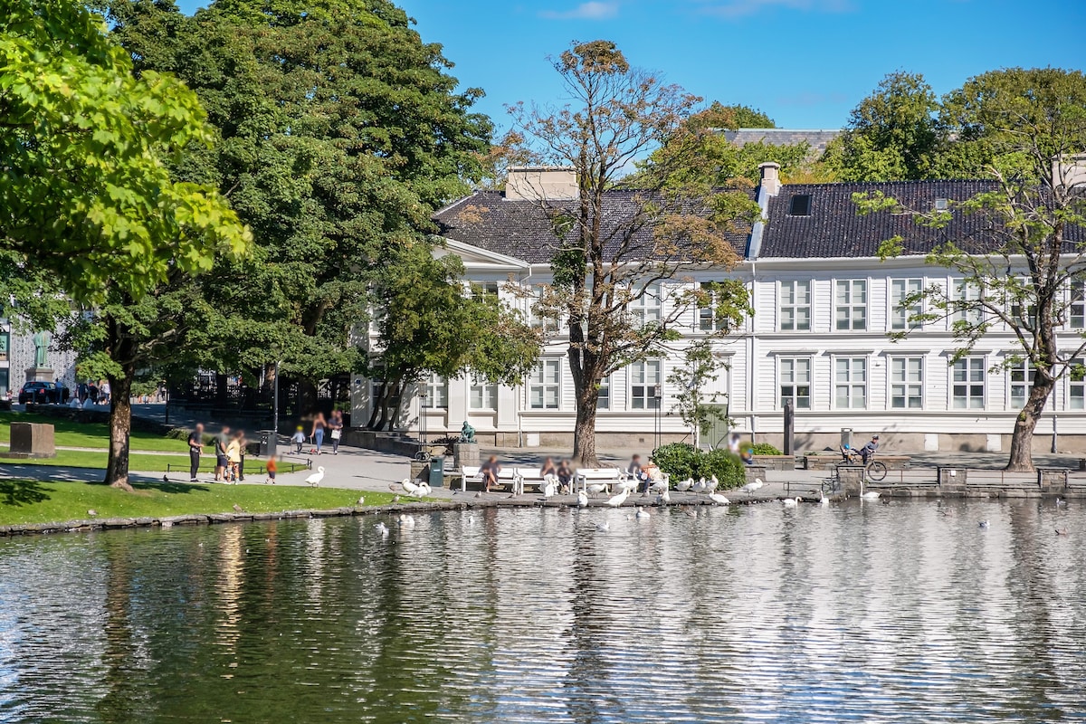 Charming Rooftop Apartment in Heart of Stavanger