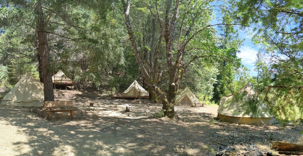 Luxe Bell Tent with 2 Twin Beds