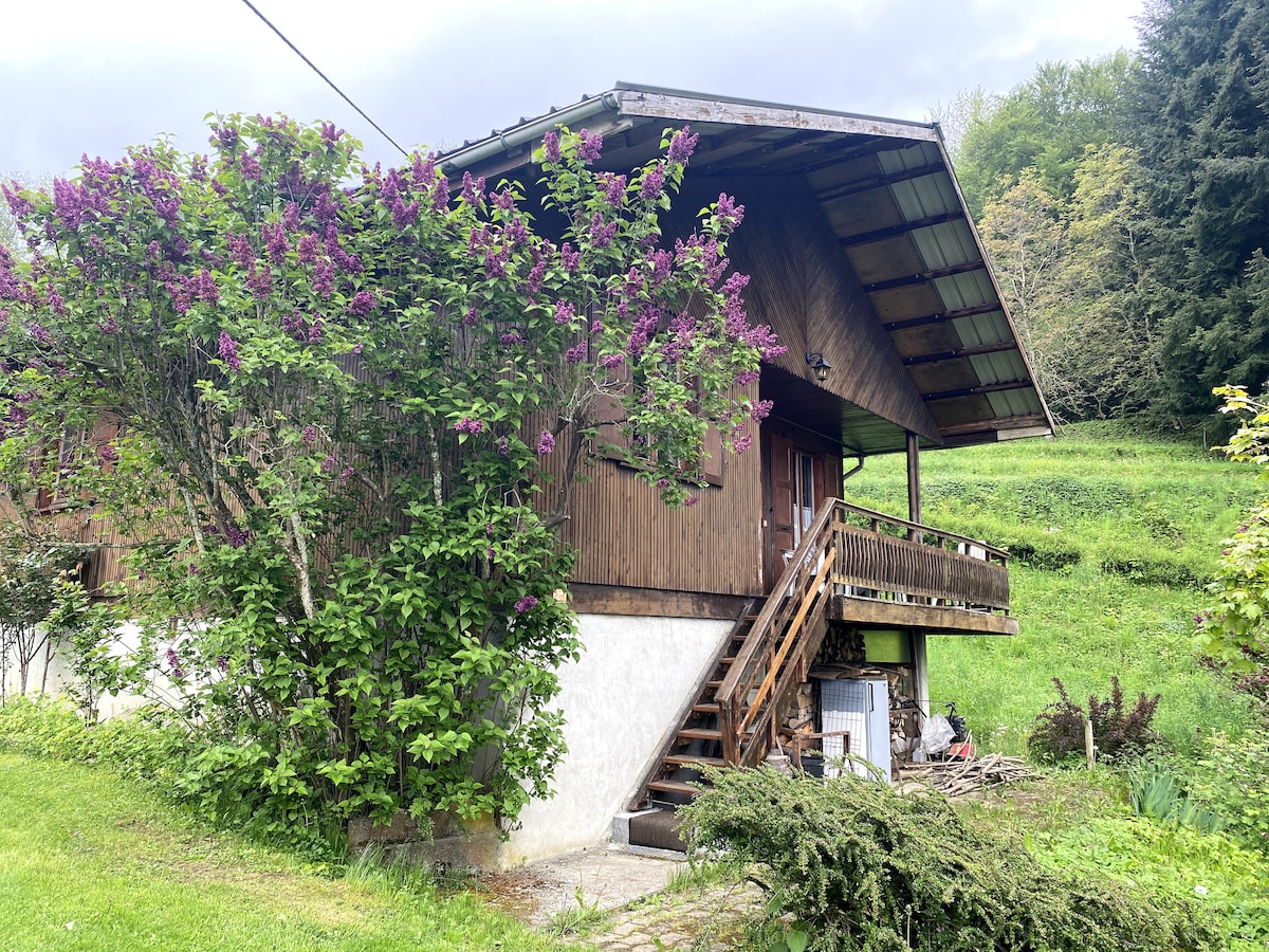 Chalet moyenne montagne