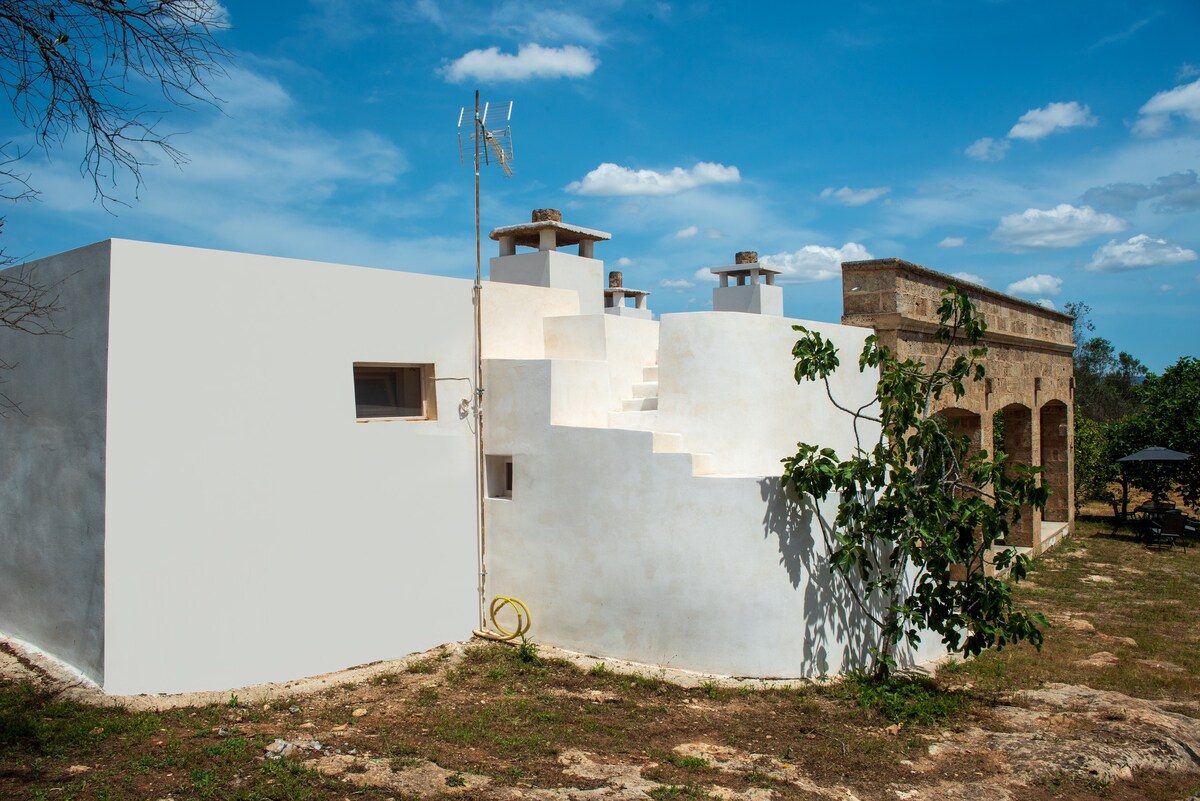 The abode of the Olive Trees | Independent trullo