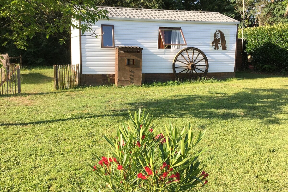 Gîte Pura Vida