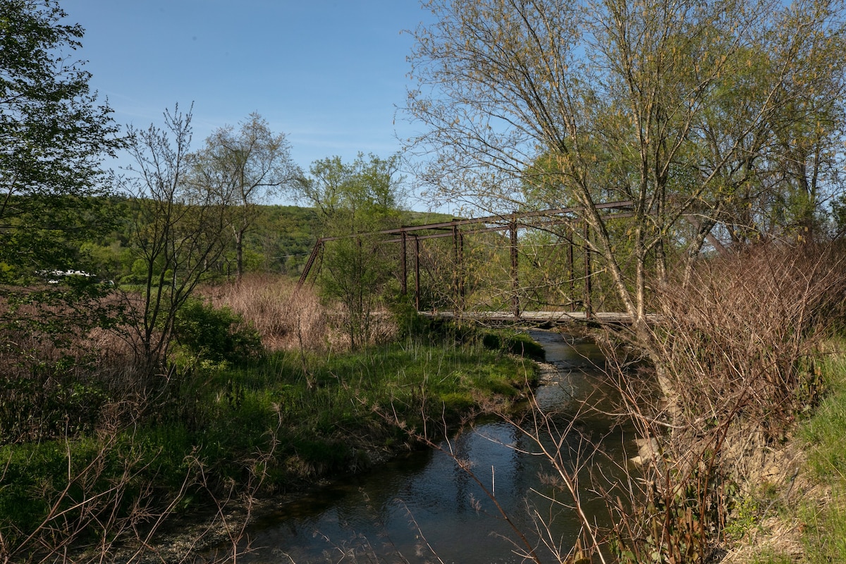 Creekside Cabin-Corning Watkins Glen Finger Lakes