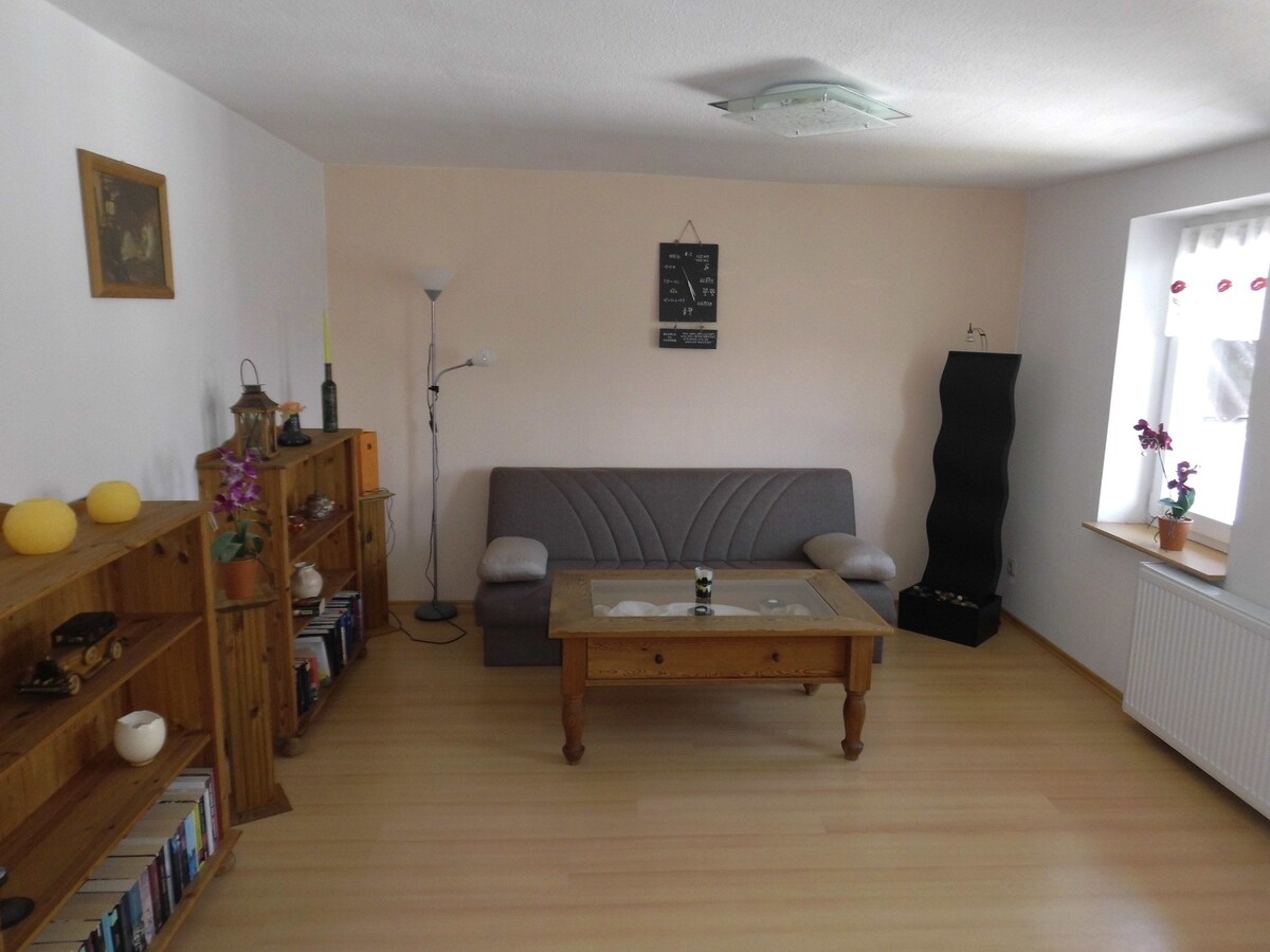 Großes Appartement im Harz