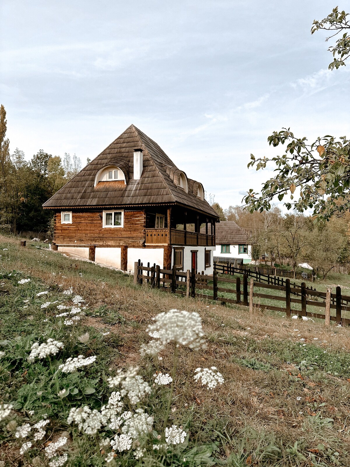 Inside, The Village- Rooster's Nest