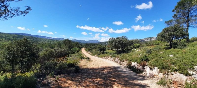 « La Chevalière Sauvage », l’évasion en Provence