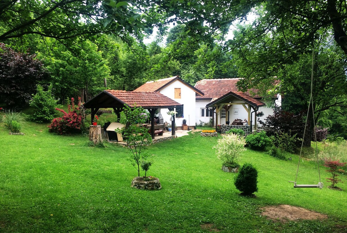 Forest village house