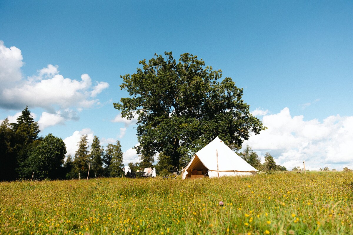 Glamping in Småland III