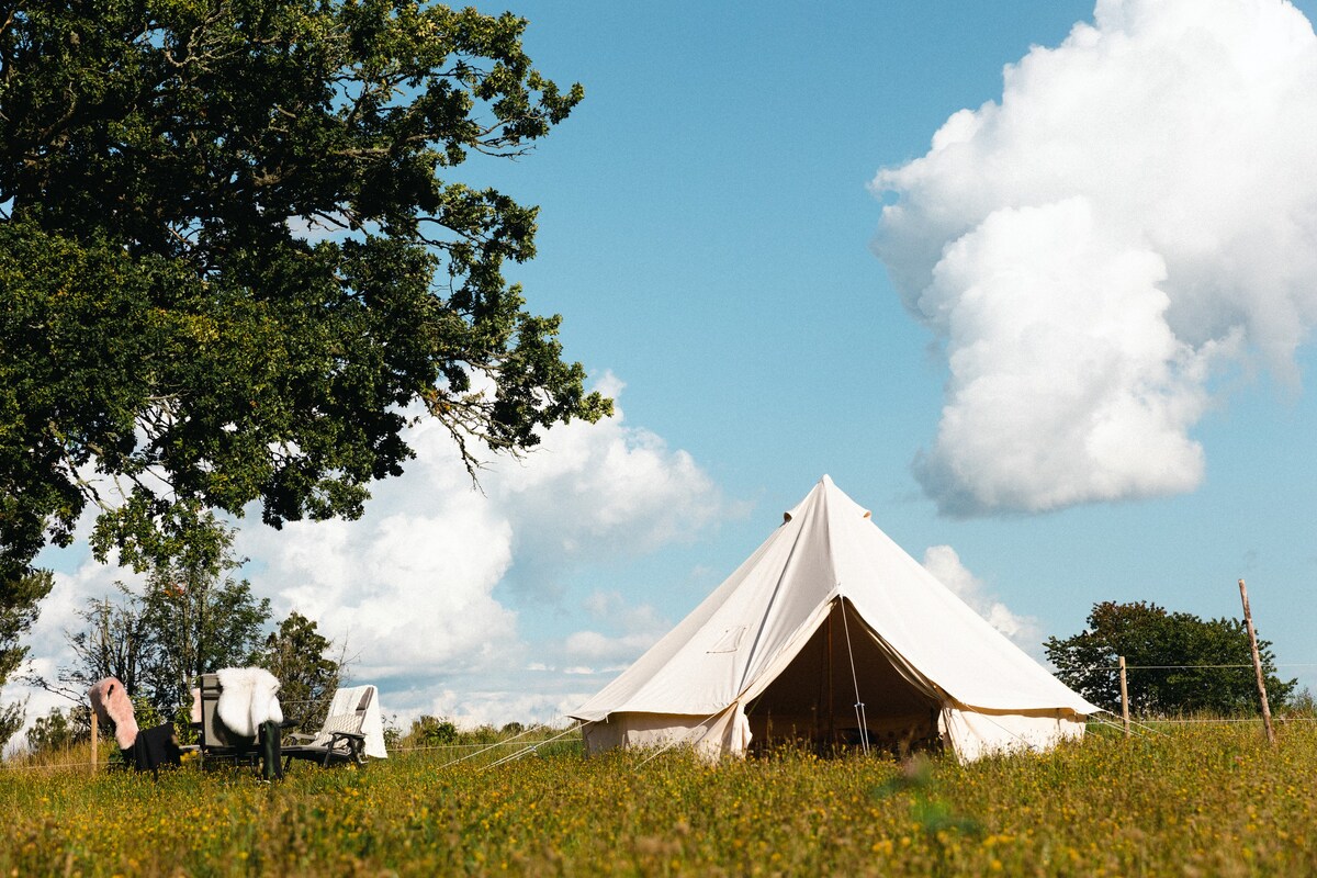 Glamping in Småland II