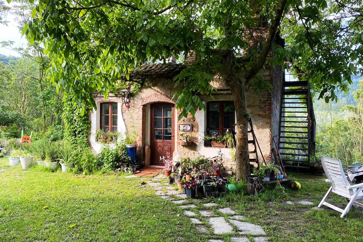 La Dimora delle Viole. Il tuo Chalet nel bosco.