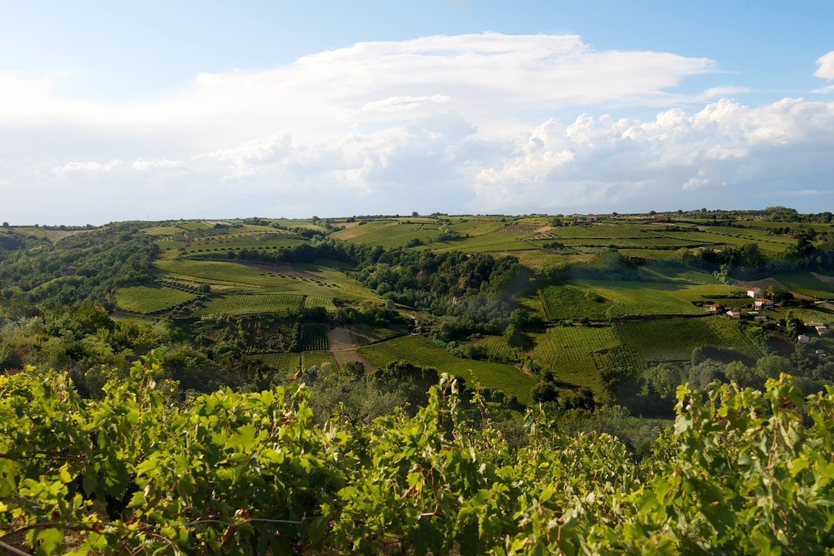 Camera con bagno in campagna