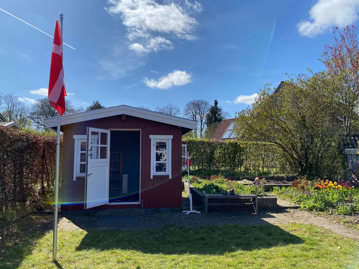 Little Red House in the back yard