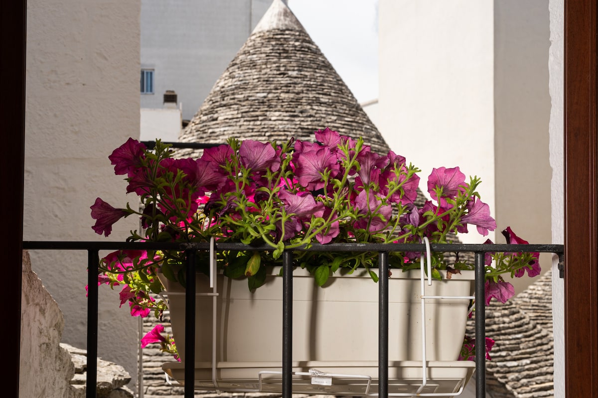 Il Trullo Moore Alberobello