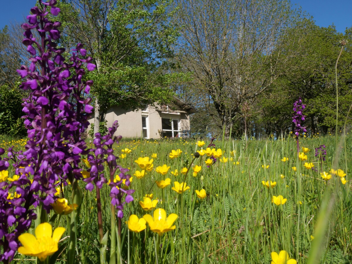 Gîte nature 25 km Carcassonne