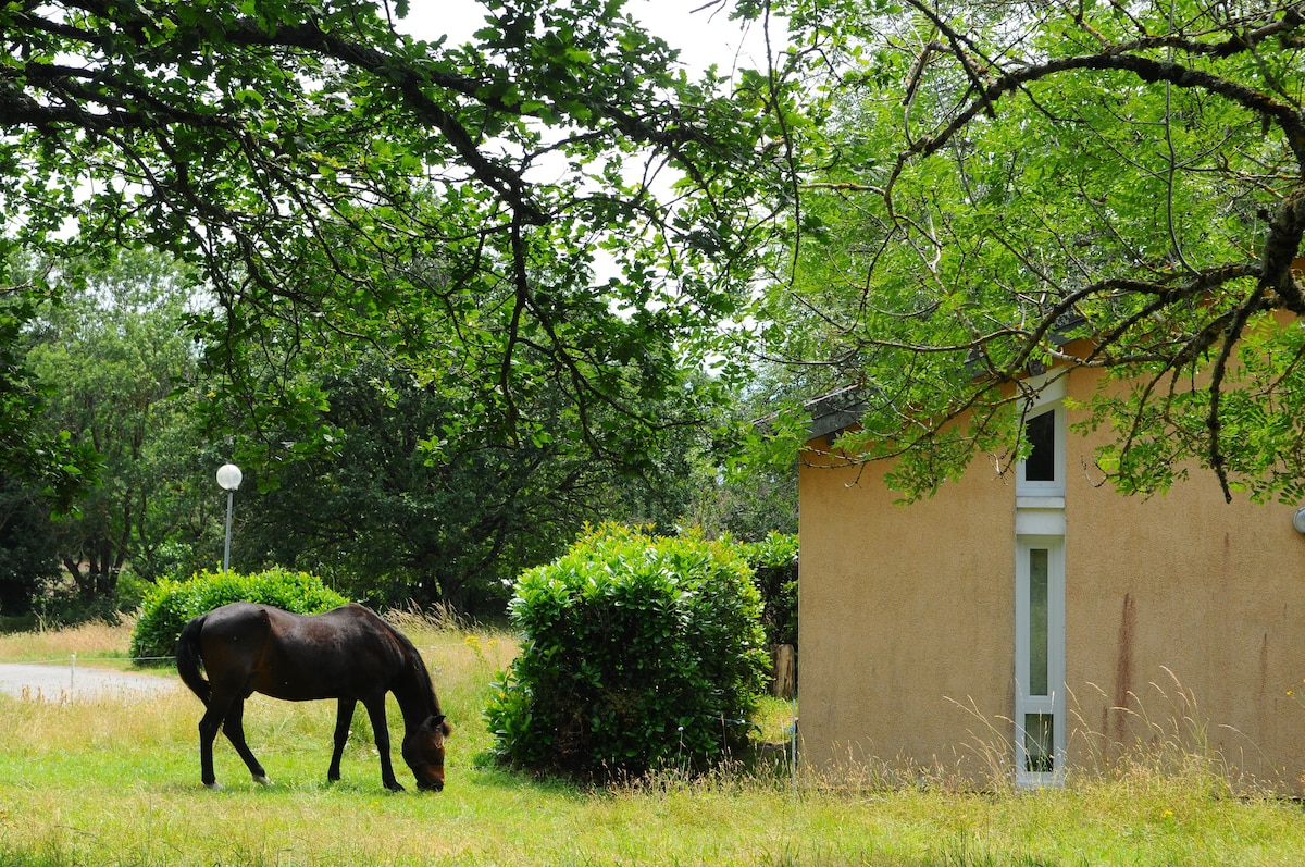 Gîte nature 25 km Carcassonne