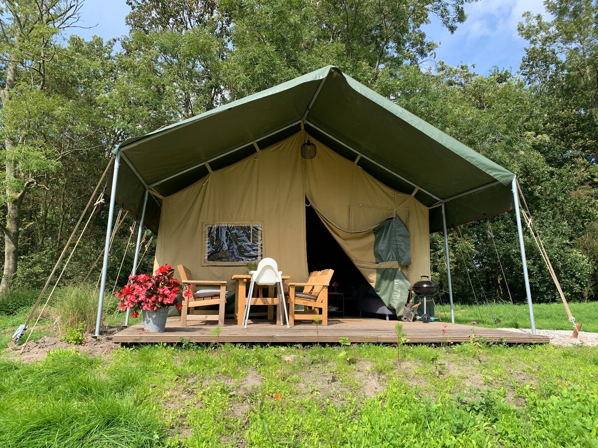 Luxe safaritent voor 4 personen