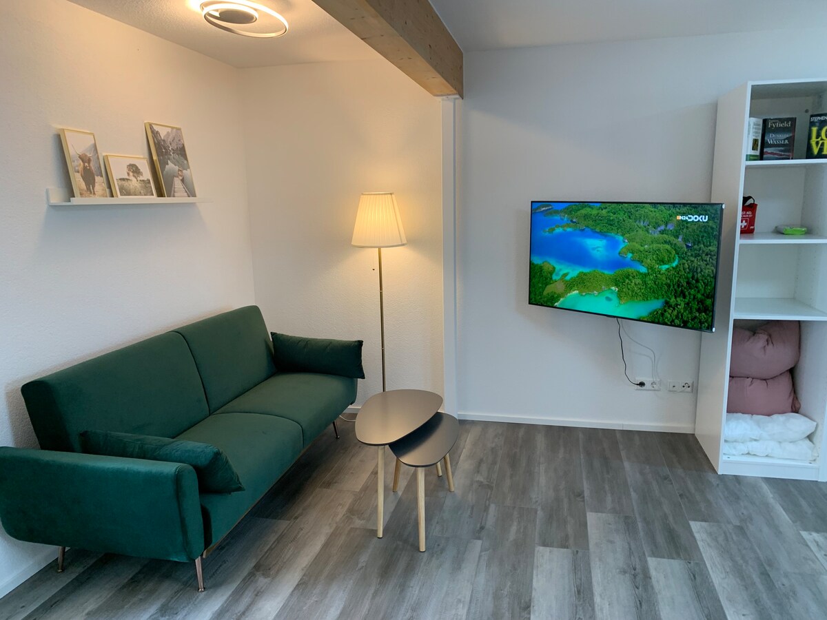 Ambiente 2- Studio Appartement de luxe