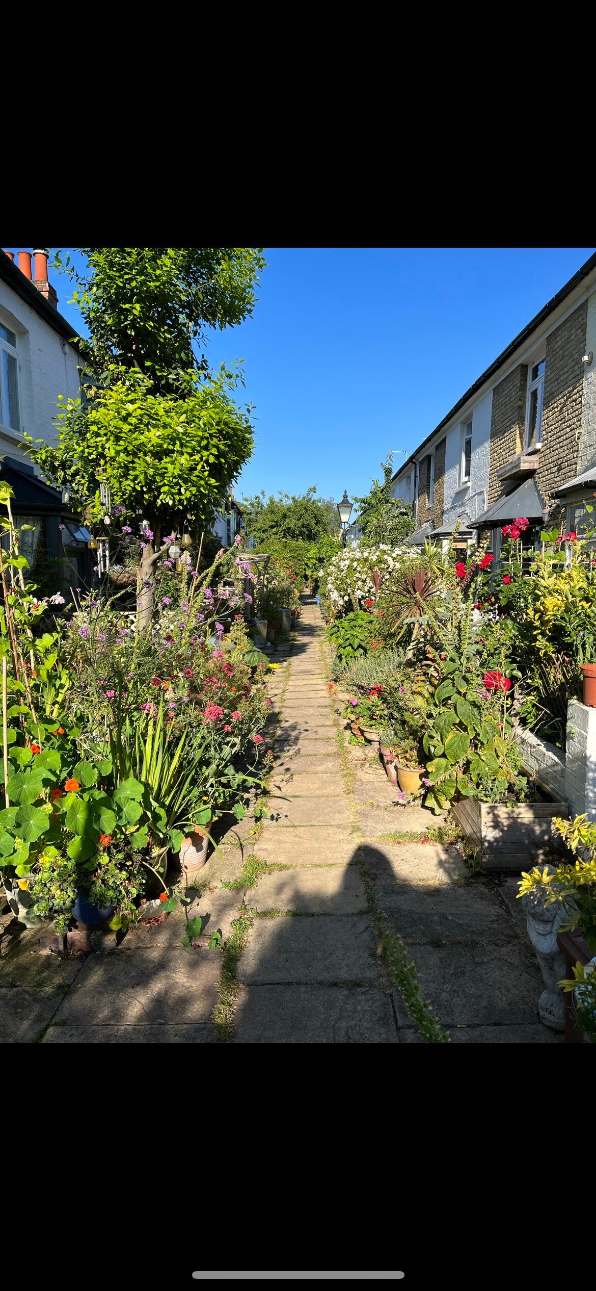 Charming cottage, Peckham Rye (Female. Room only)