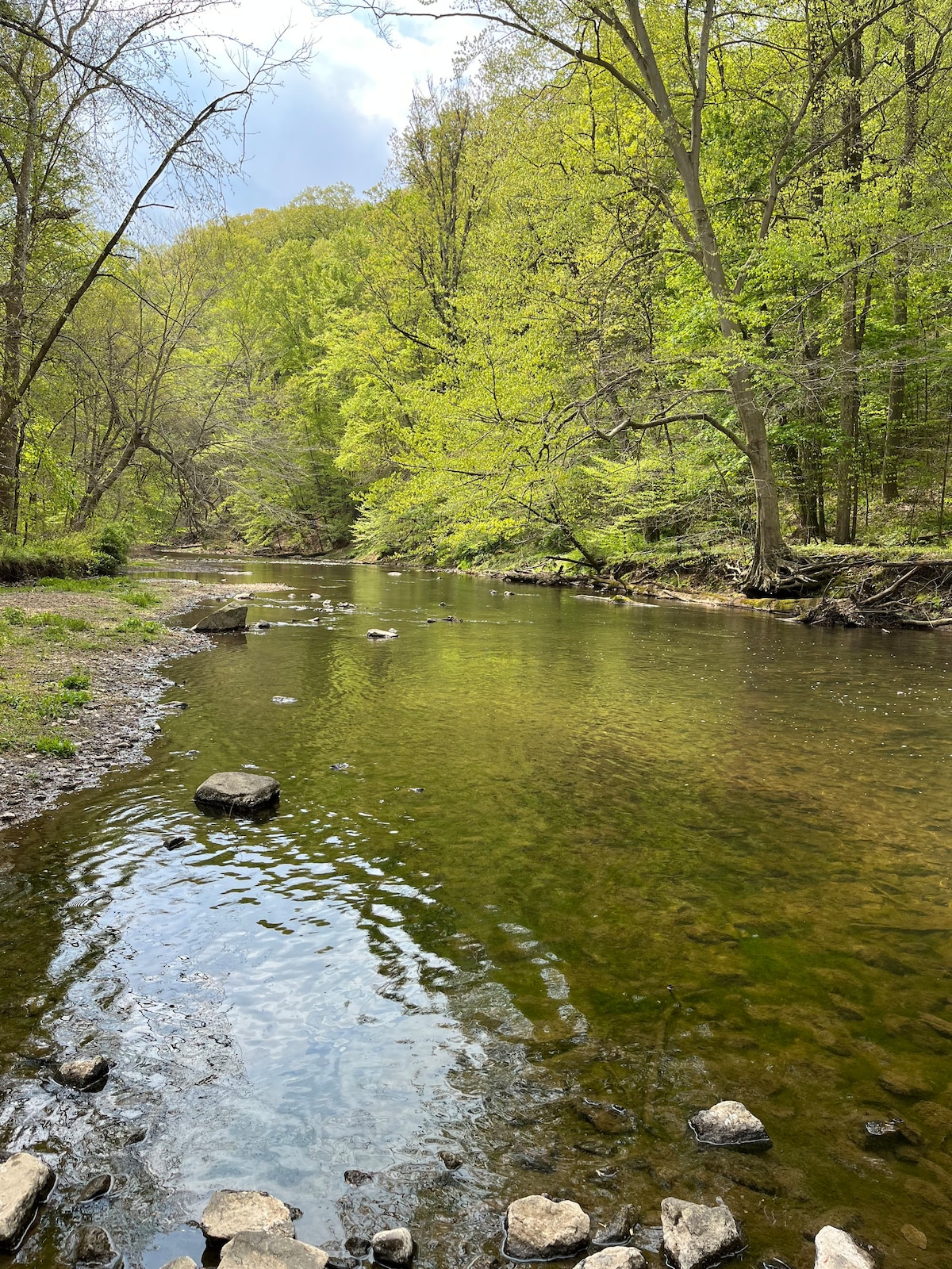 16' Private Luxury Tent on Creek (#5)