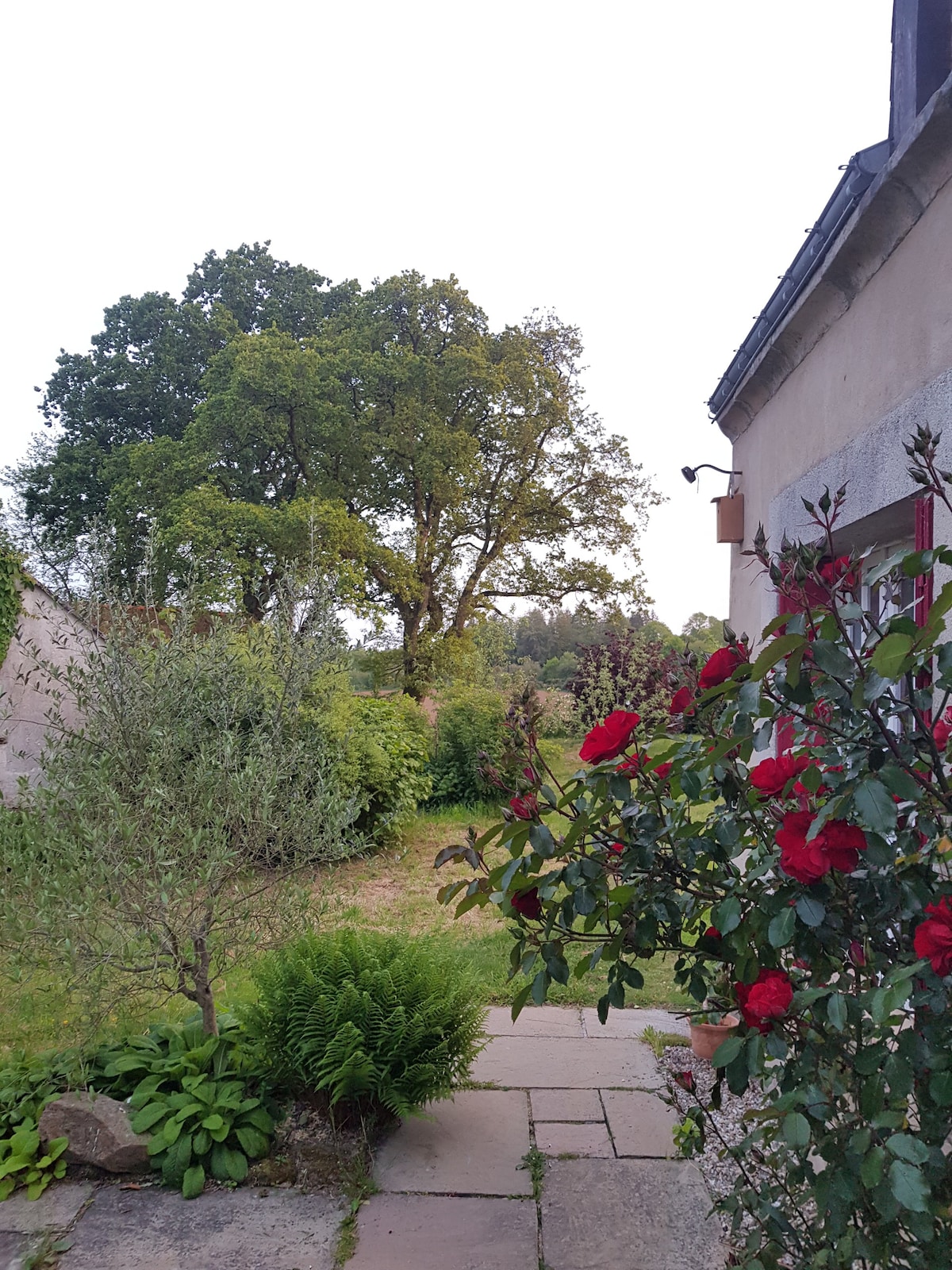 Chambre 2 pers, vue sur jardin (la romantique)