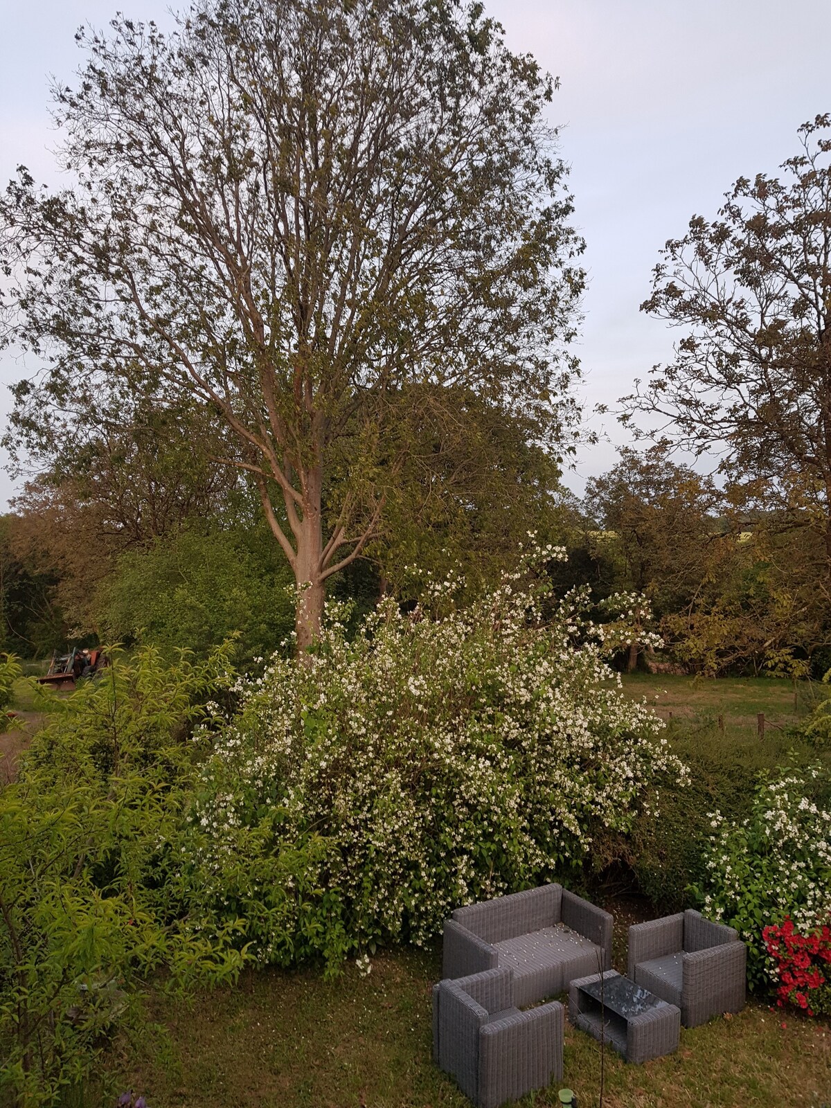 Chambre 2 pers, vue sur jardin (la romantique)