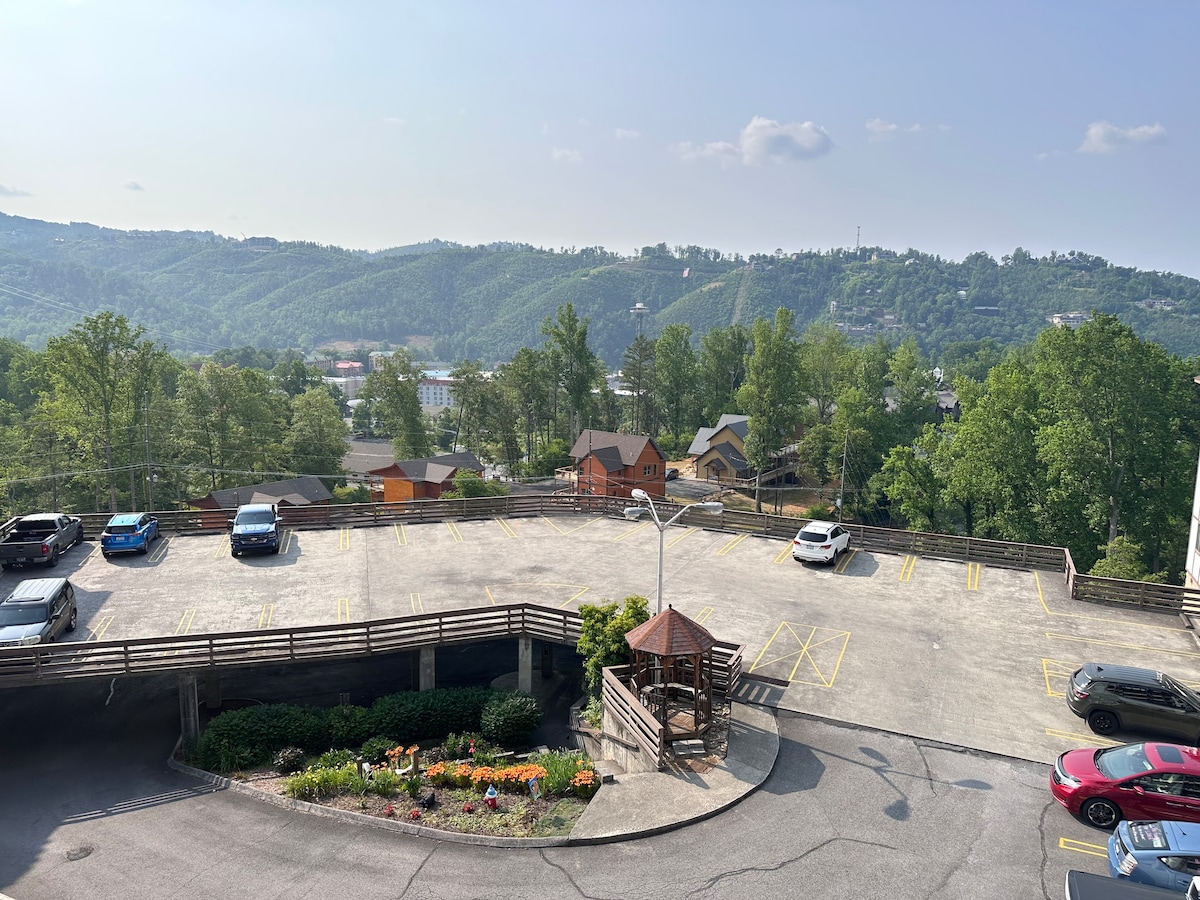 SkyBridge Views/15 min to DT Gatlinburg/sleeps6