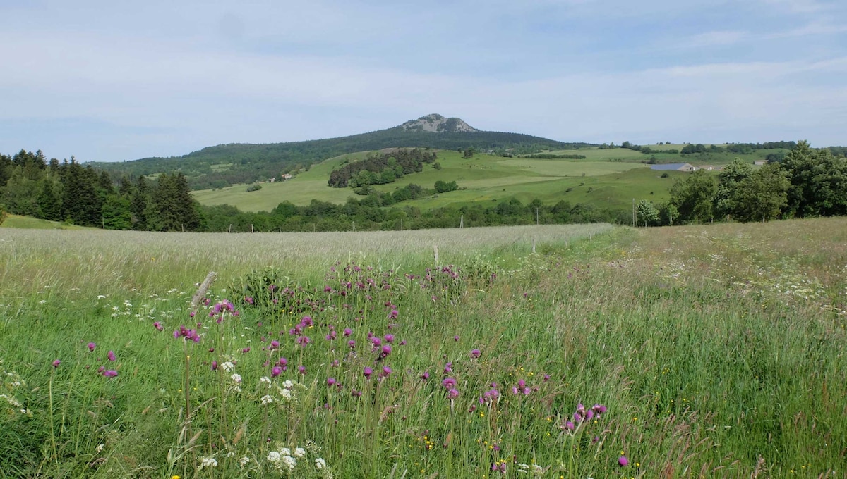 Chemin de Compostelle, grande villa confortable