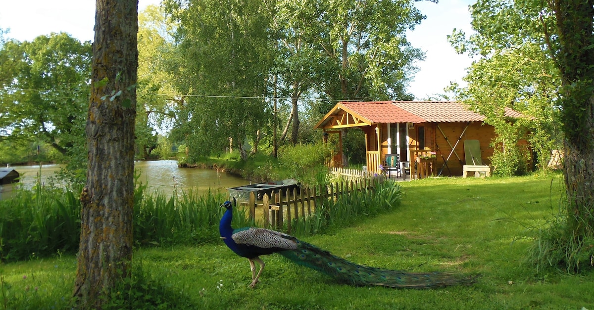 la cabane à Léon